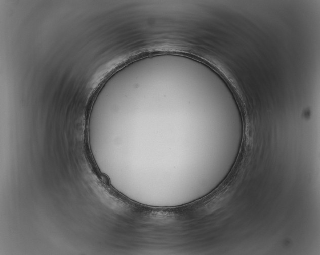 X0000116660437200912291640