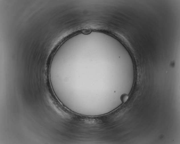 X0000116660439200912291641