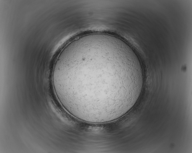 X0000116660440200912291641