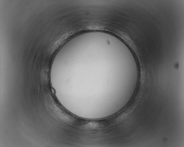 X0000116660441200912291641