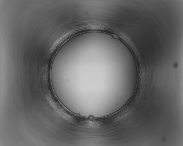 X0000116660442200912291641