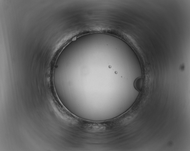 X0000116660443200912291641