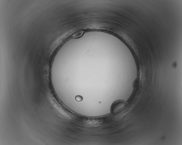 X0000116660445200912291641