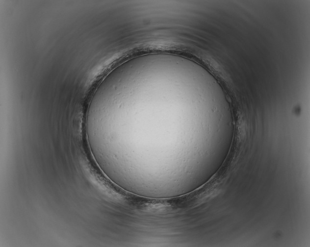 X0000116660446200912291641