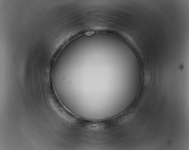 X0000116660447200912291641