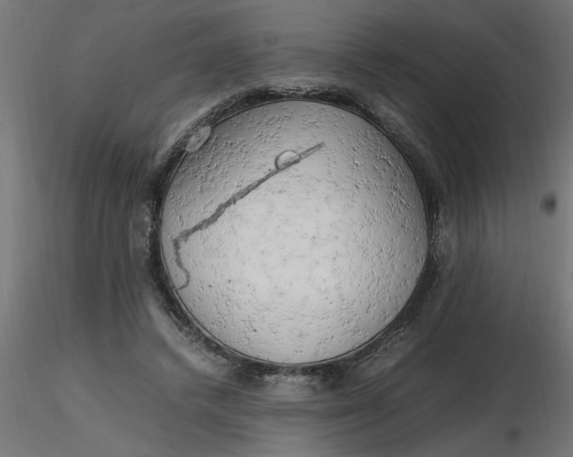 X0000116660448200912291641