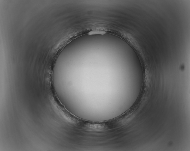 X0000116660449200912291641