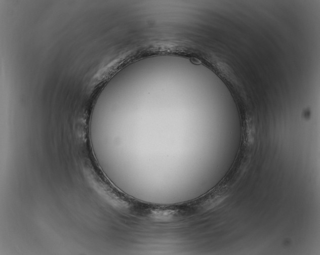 X0000116660450200912291641