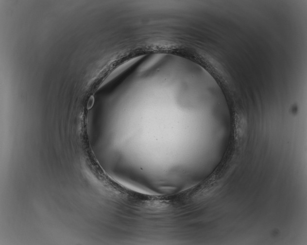 X0000116660451200912291641