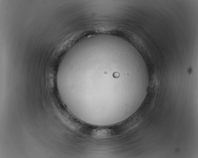 X0000116660452200912291641