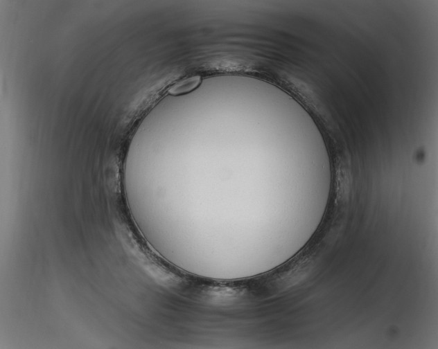 X0000116660453200912291641