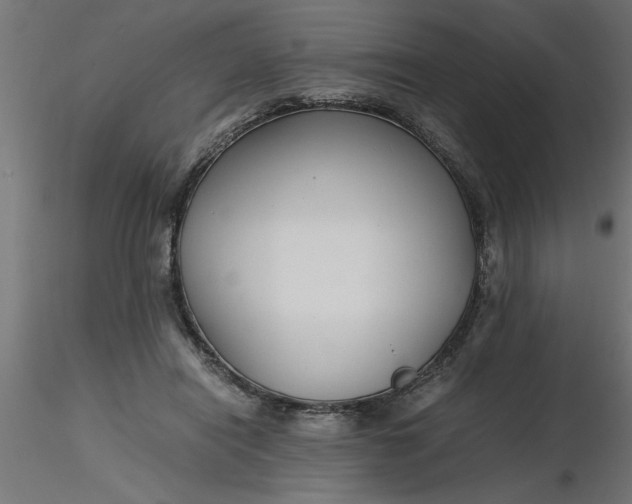 X0000116660454200912291641