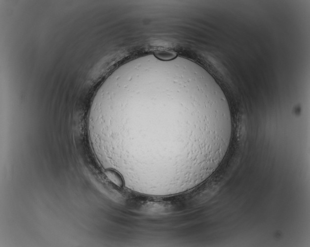 X0000116660455200912291641