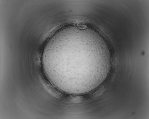 X0000116660456200912291641