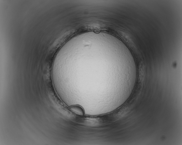 X0000116660457200912291641