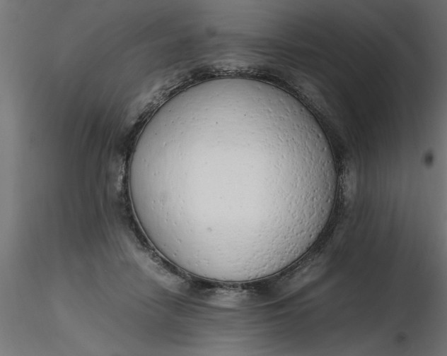 X0000116660458200912291641