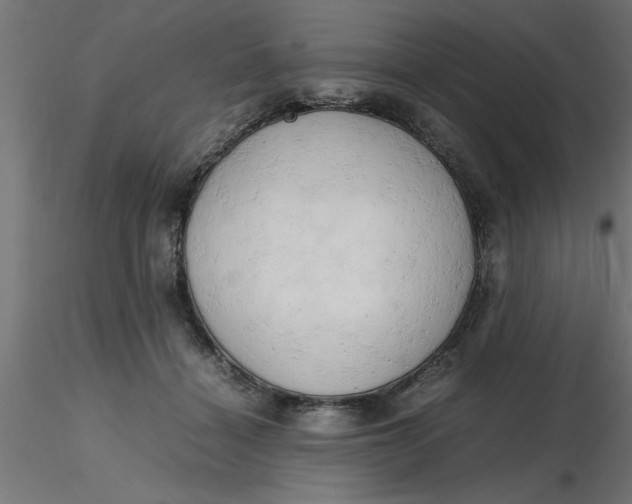 X0000116660460200912291641