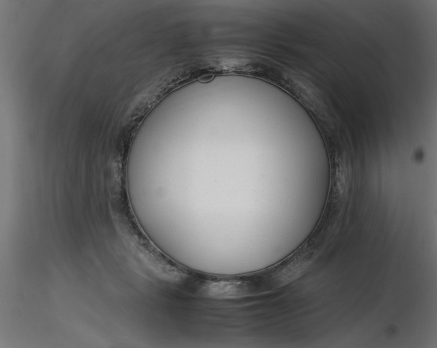 X0000116660461200912291641