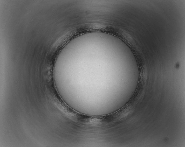 X0000116660462200912291641