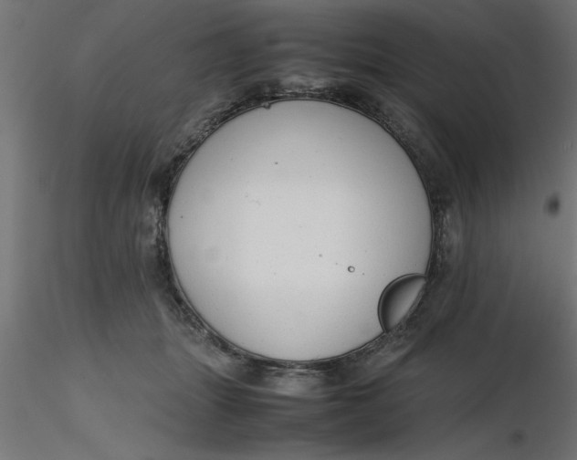 X0000116660463200912291641