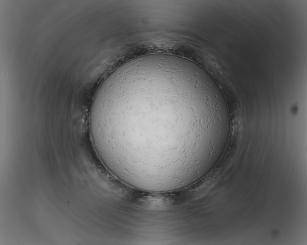 X0000116660464200912291641