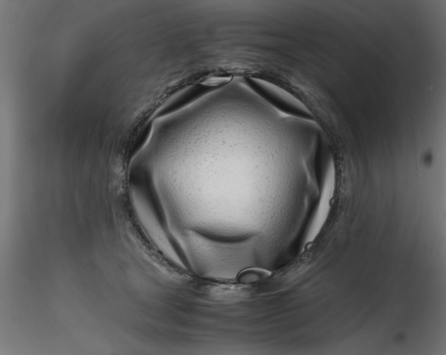 X0000116660465200912291641