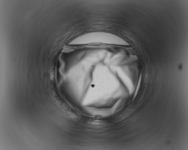 X0000116660467200912291641