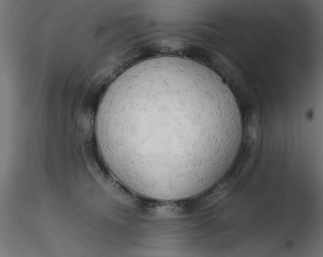 X0000116660468200912291641