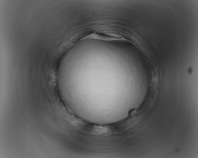 X0000116660469200912291641