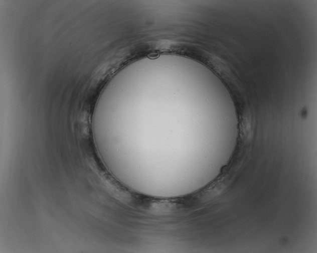 X0000116660470200912291641