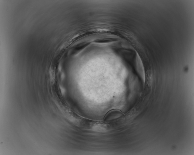 X0000116660471200912291641