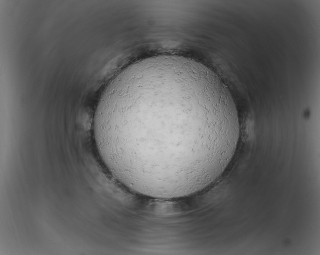 X0000116660472200912291641