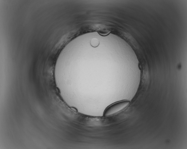 X0000116660473200912291641