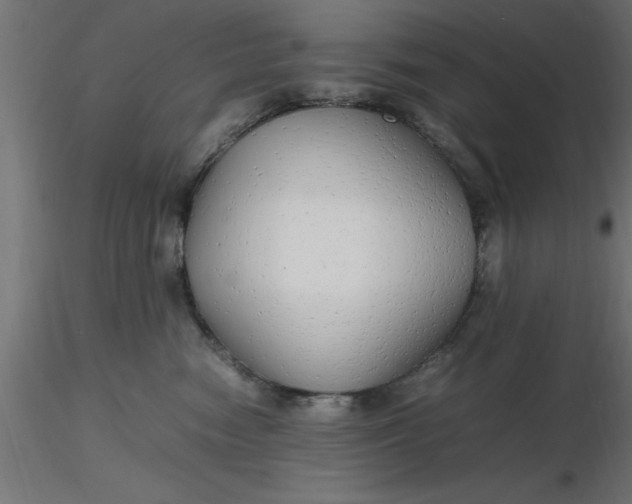 X0000116660474200912291641