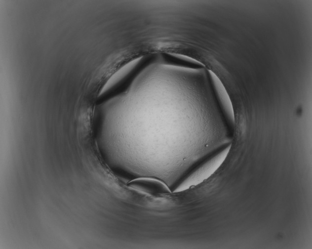 X0000116660475200912291641