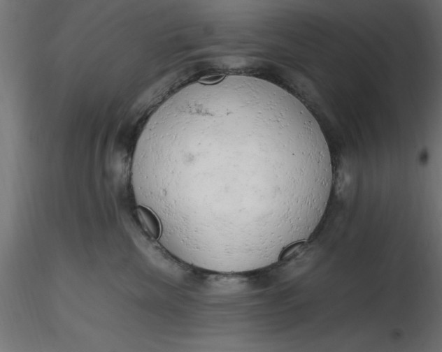 X0000116660476200912291641