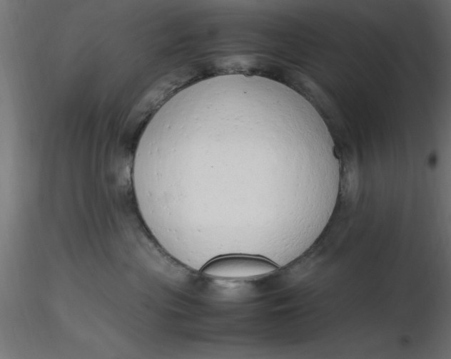 X0000116660477200912291641