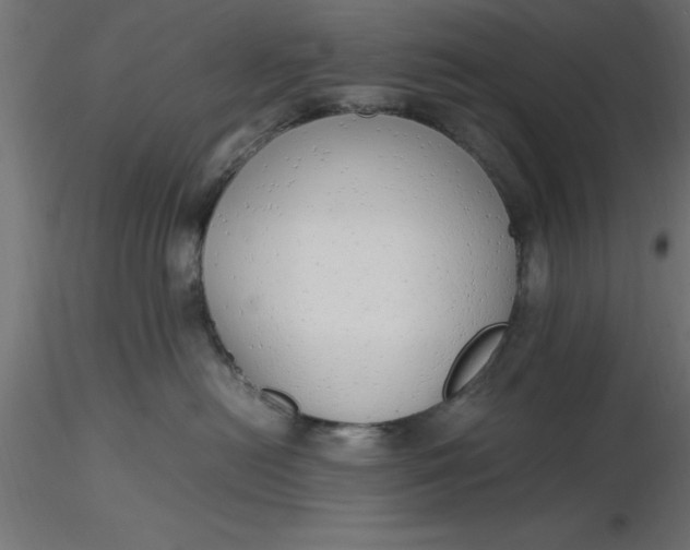 X0000116660478200912291641