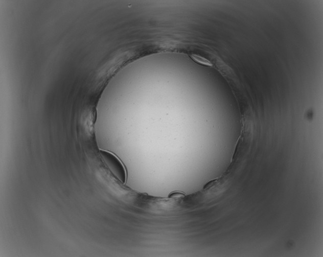 X0000116660479200912291641