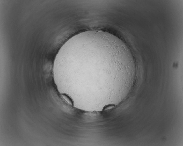 X0000116660480200912291641