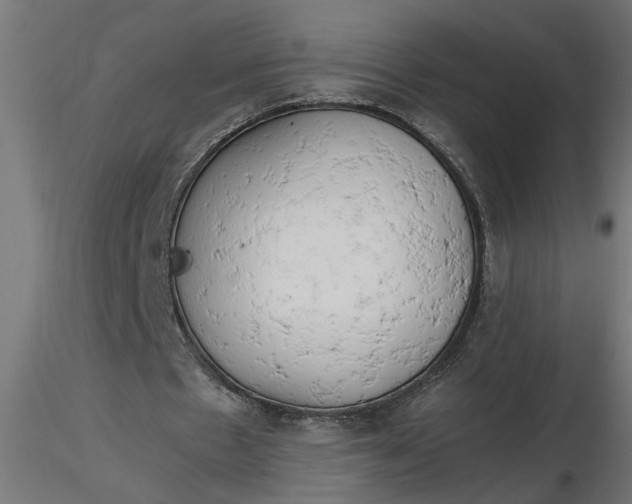 X0000116660481200912291640