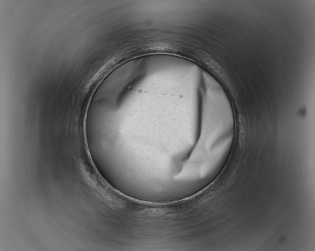 X0000116660482200912291640