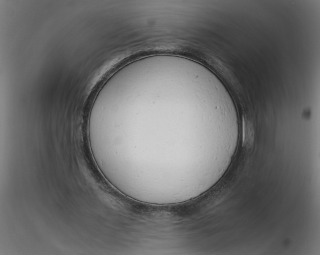 X0000116660483200912291640