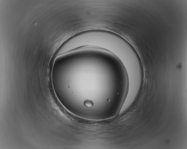 X0000116660485200912291640