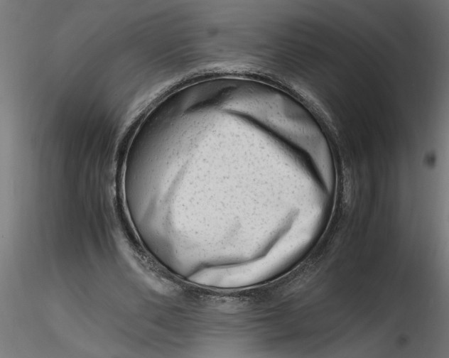 X0000116660486200912291640