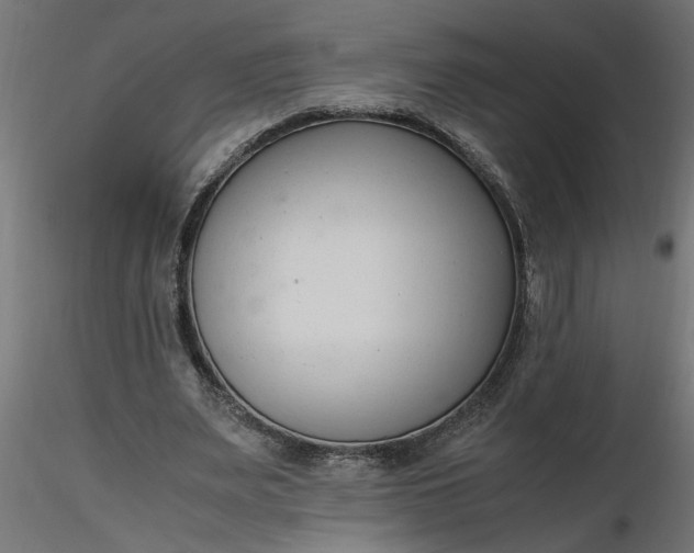 X0000116660487200912291640