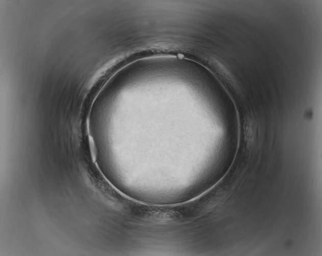 X0000116660488200912291640