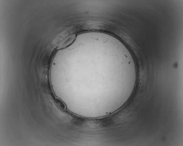 X0000116660489200912291640