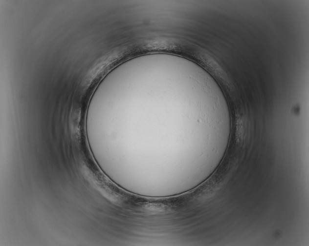 X0000116660490200912291640