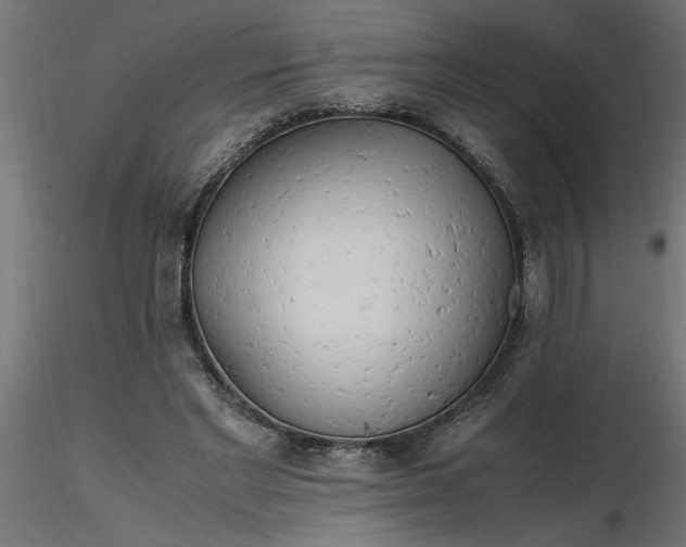 X0000116660493200912291640